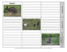 Leporello-Känguru-1-1-2.pdf